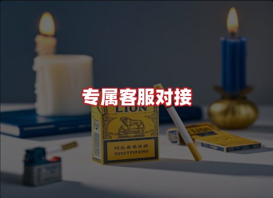 专业团队